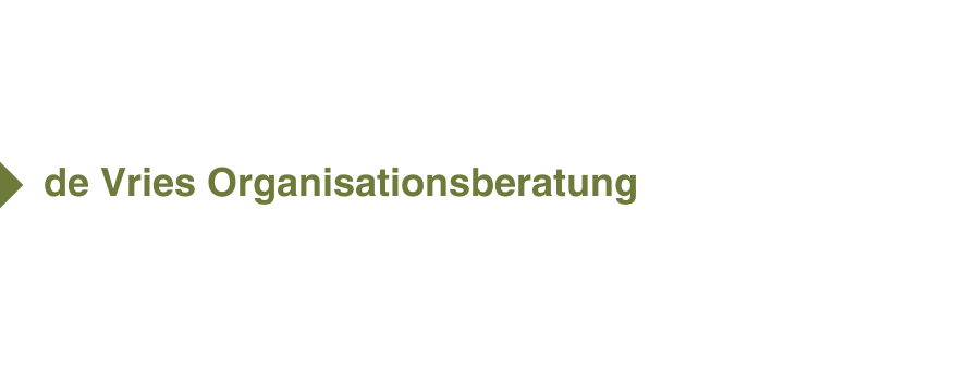 de Vries Organisationsberatung